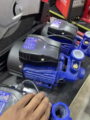 Sali 1 Hp Peripheral (Surface)Water Pump