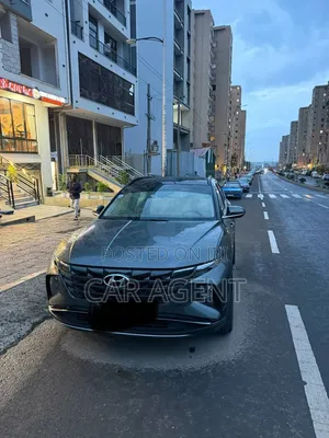 Hyundai Tucson 2022 Gray