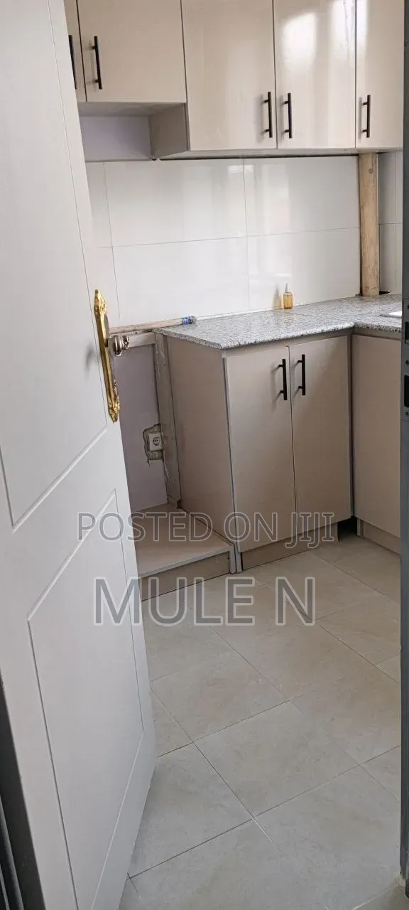 Furnished 1bdrm Condo in Sumit Condominium, Bole for sale