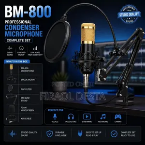 Bm-800 Professional Condenser
