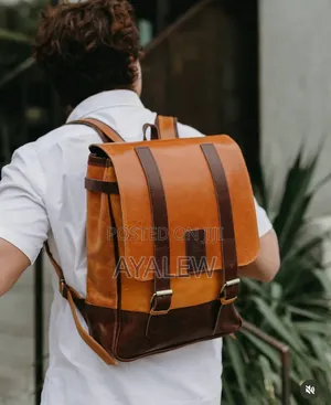 Leather Back Bag for Mens and Women's It Have Mix With Two Colors