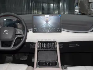 New BYD Yuan Plus 2025 Gray