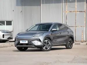 New BYD Yuan Plus 2025 Gray