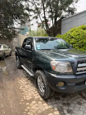 Toyota Tacoma 2007 Gray