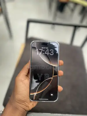 Apple iPhone 16 Pro Max 256 GB Gray