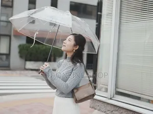 Transparent Umbrella
