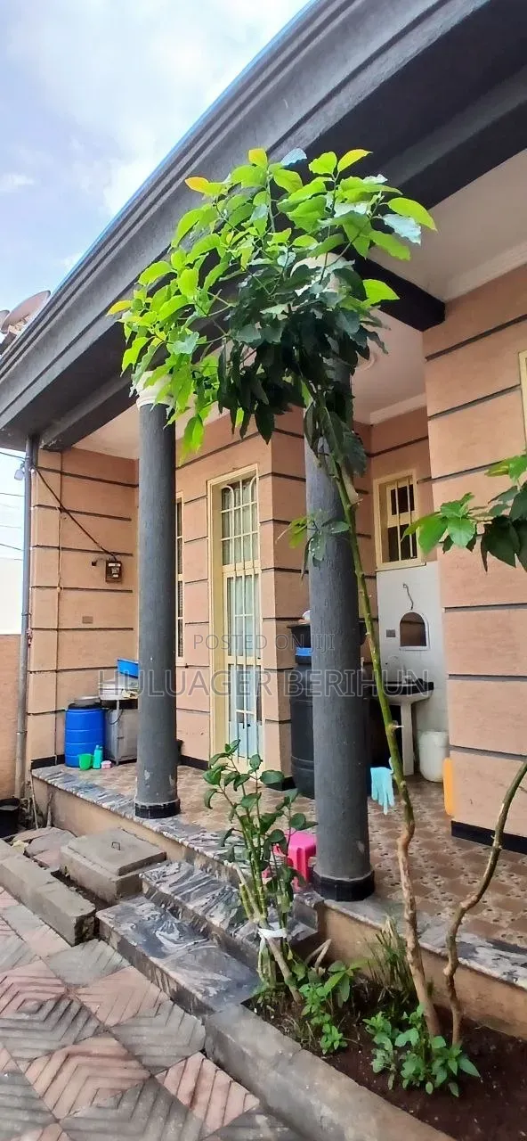 Furnished 3bdrm Villa in Bole for sale