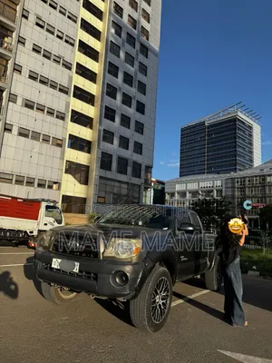Toyota Tacoma 2008 Gray