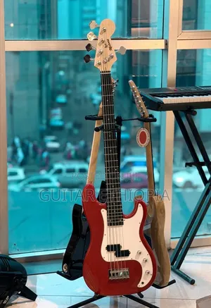 5 String Bass Guitar