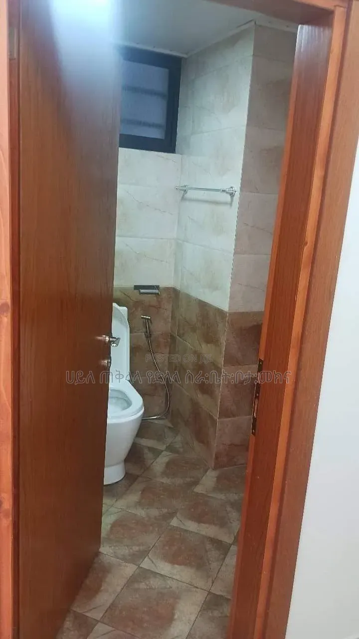 Furnished 3bdrm Apartment in Tsehaye Real State, Yeka for sale