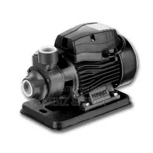 High Water Pump