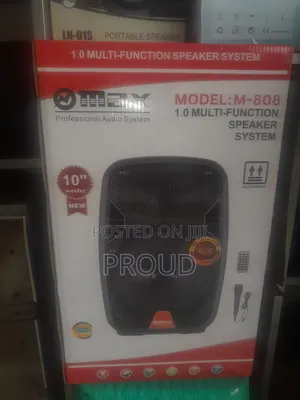 Max 10" Spiker