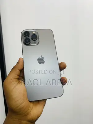 New Apple iPhone 13 Pro Max 256 GB Gray