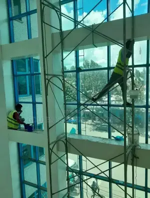 Window Cleaning Service