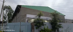 የሚከይ መጋዝን ላስፓልት ቅርብ