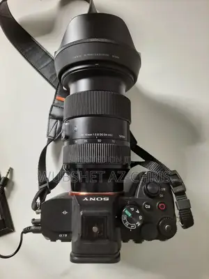 Sony A7iv and Lens Sigma 24-70mm