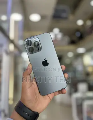 Apple iPhone 15 Pro Max 256 GB Gray