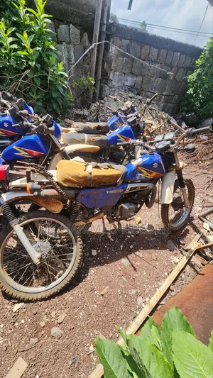 Suzuki 1996 Blue