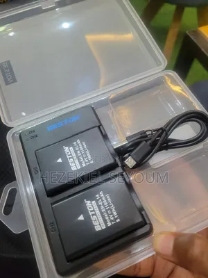 A Nikon Battery Whith a Charger