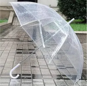 Transparent Umbrella.