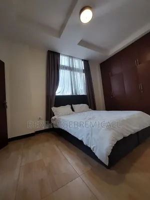 Furnished 2bdrm Apartment in 4 ኪሎ, Arada for rent