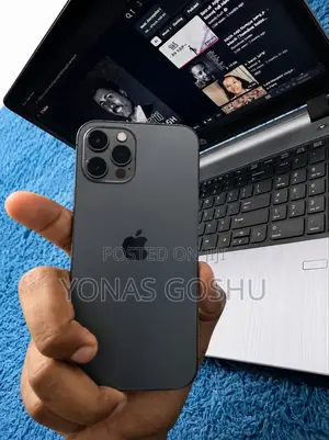 Apple iPhone 12 Pro 256 GB Gray