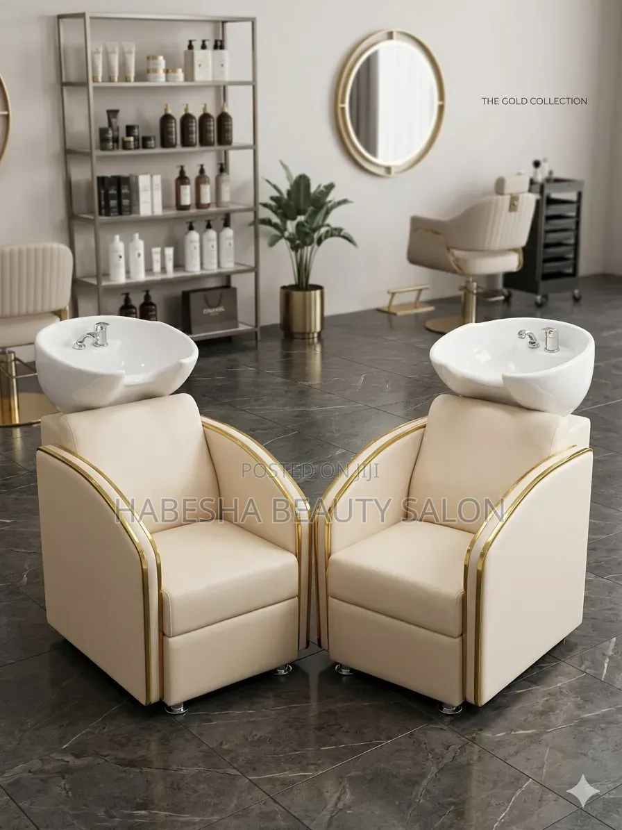 Hair Washing Chair ( የፀጉር ማጠቢያ )