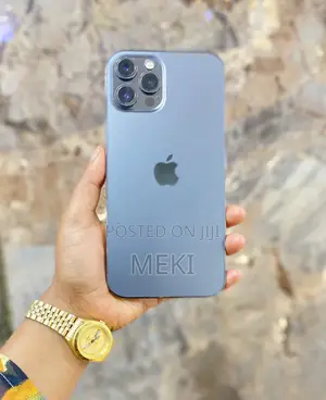 Apple iPhone 12 Pro Max 256 GB Silver