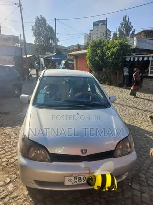 Toyota Platz 2001 Silver