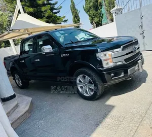 Ford F-150 2020 Gray