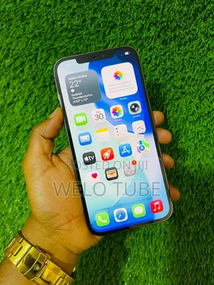 Apple iPhone 12 Pro Max 128 GB Gray