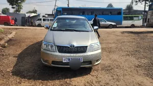 Toyota Corolla 2005 Gold