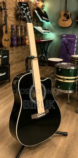 Sales New Guitar
