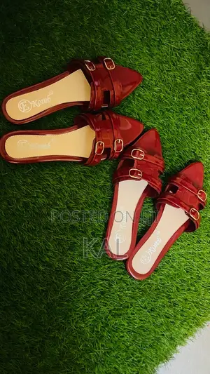 Women’S Elegant Shoes/Sandles