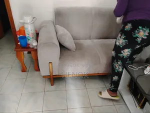Used Sofa Good Situation