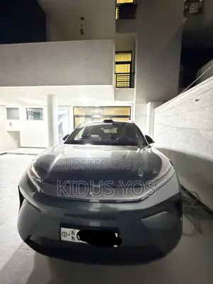 New BYD Tang EV 2025
