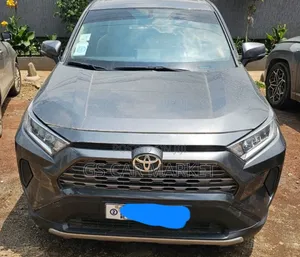 Toyota RAV4 2022 Gray