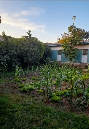Premium Property for Sale
