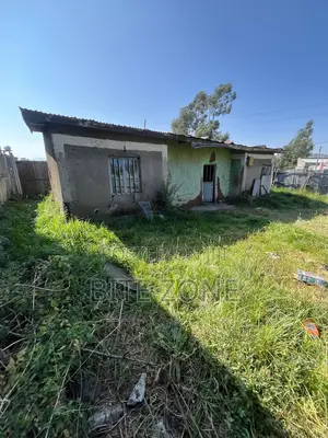 Tafo 317m2