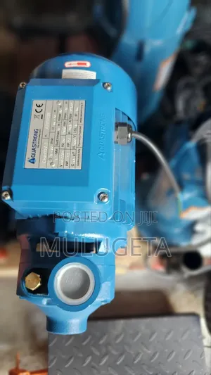 Aqastrong Serfase Pump