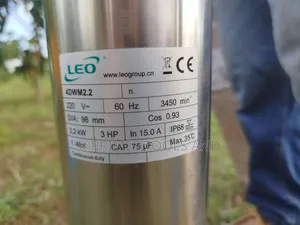 Leo 3hp Deep Well Submersible Pump