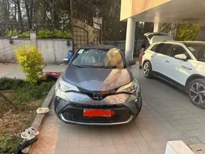Toyota C-HR 2020 Gray