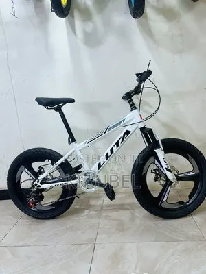 Luta 20 Inch Bicycle | 21 Speed | Dual Disc Brake | Magnesium Wheels
