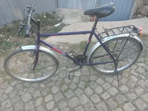 Phonex Bicycle