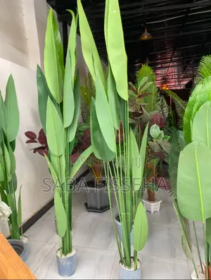 Artificial Indoor Plants