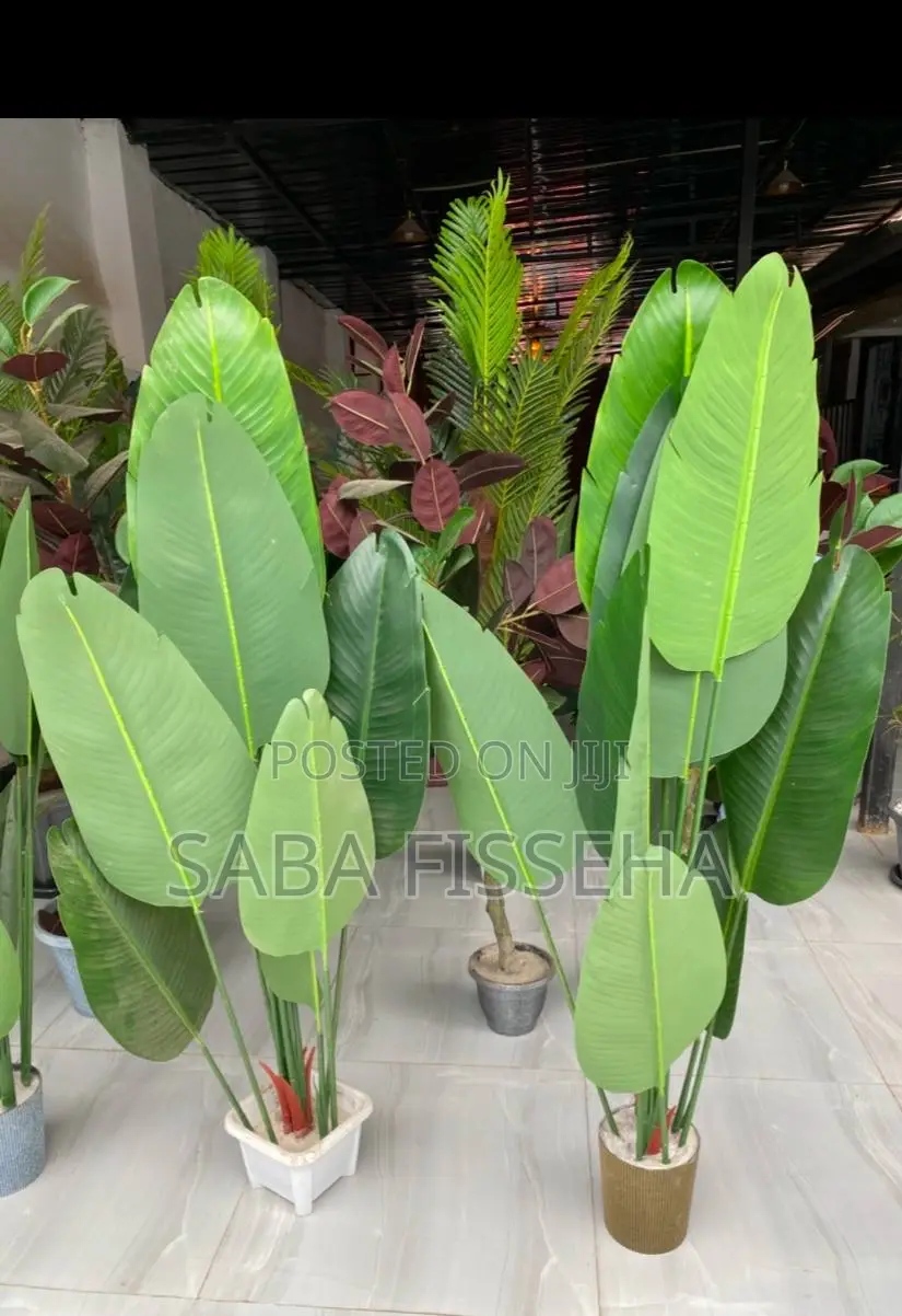 Artificial Indoor Plants
