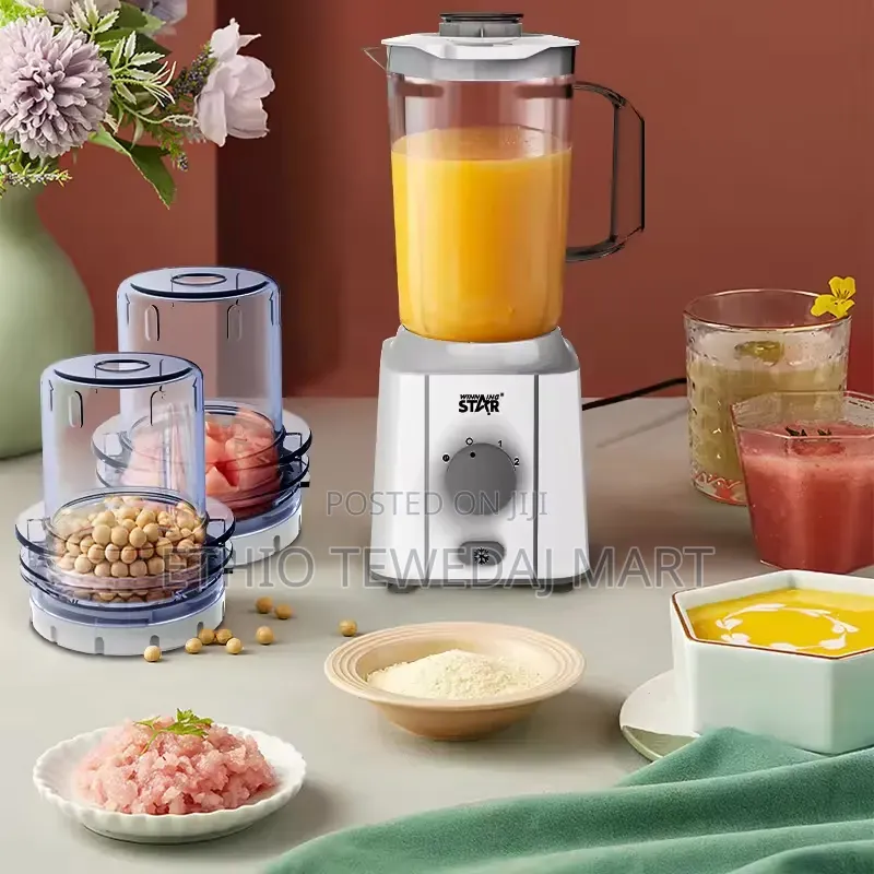 Winning Star 2-in-1 Blender and Grinder Set, 350w Motor