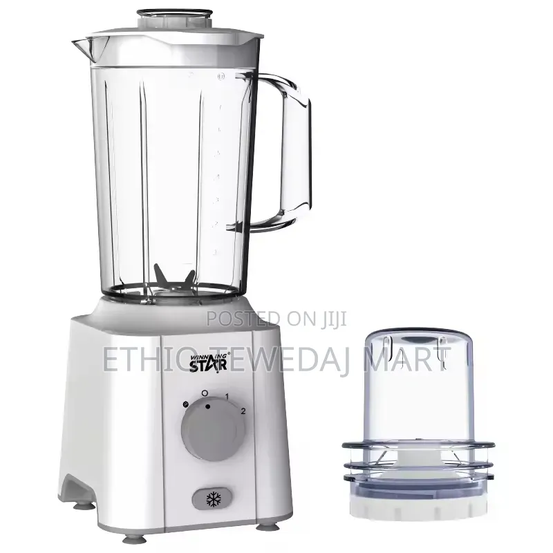 Winning Star 2-in-1 Blender and Grinder Set, 350w Motor