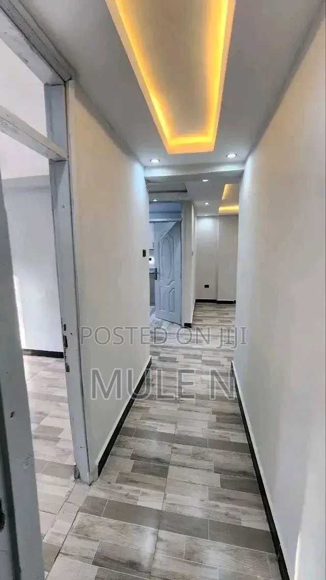 Furnished 2bdrm Condo in Sumit Condom, Bole for sale
