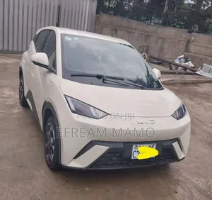 BYD Seagull 2025 White